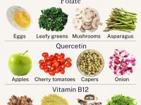 优化基因的最佳营养素🧬