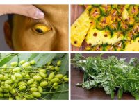 一种增强肝功能的自然疗法