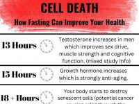 禁食如何改善你的健康