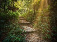 当一碗水端不平的时候