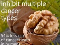 每天吃一颗核桃，远离癌症！