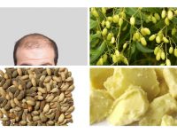 你不能永远秃头