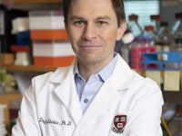 促进长寿的10条建议