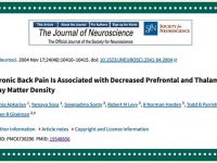 长期肩颈酸痛会加速大脑萎缩？