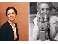 养成正确的习惯，你可以在晚年保持敏锐的思维