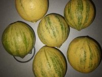 虎牌柠檬的好处