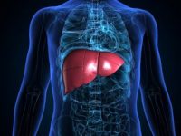 你的肝脏就是你的生命