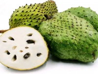 刺果番荔枝的功效