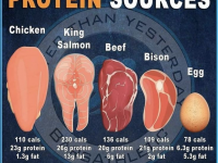 蛋白质的不同来源