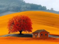 认知觉醒十八条金句