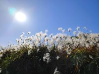 无用的社交，不如高质量的独处