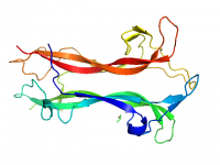 BDNF以及其与阿尔兹海默症之间的关系