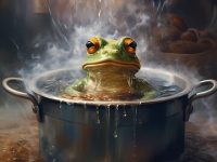 99% 的人都会陷入“温水煮青蛙”的境地