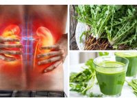 肾功能减弱的自然疗法