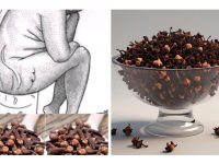 喝丁香水对生育的好处