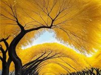 不要轻易跟人谈论那些沉重的话题