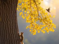 我们穷极一生，追求的是什么？