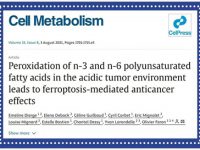 哪种蔬菜被誉为「天然抗生素」？