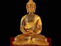 懂得随缘才是人生