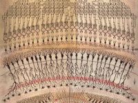 “我的大脑只是一个接收器”