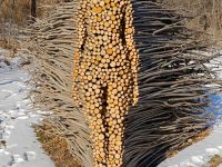 找到自己擅长的东西，想办法以此为生