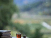 最厉害的活法：无所谓生死，不纠结命运，不在乎别人