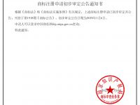 今天是个好日子