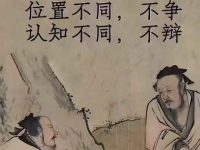 成年人的世界里没有启蒙，只有筛选