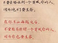 在你落魄的时候