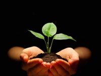 世界不缺少美，缺少的是发现美的艺术修养