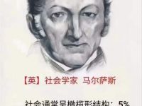 社会通常呈橄榄形结构