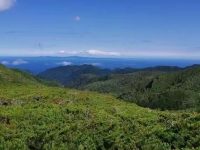 玄学常识的智慧