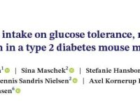 胡萝卜具有明显的抗糖尿病作用？