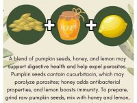 🌿抗寄生虫德拉诺！ 🍯🍋