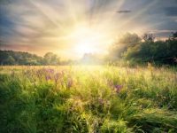 癌症可以影响任何人，但了解它可以挽救您的生命！