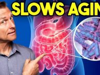 改变一切的是微生物：罗伊氏乳杆菌