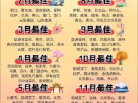 每个月去哪旅游最好