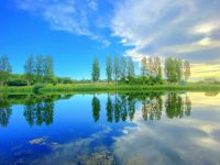 生命最大的价值就是情绪稳定