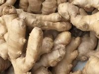 炎症是您的头号敌人