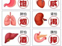 八大器官最怕什么？