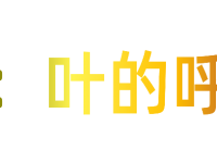 色阶切片：叶的呼吸与沉默（二）