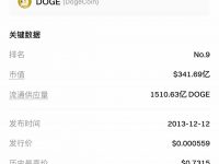 Pi 与 Dogecoin：核心团队为何应该关注