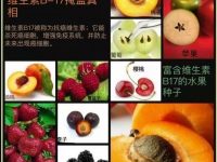 ✔️维生素B17的掩盖