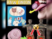 每天吃一个生洋葱🧅 — 大自然的秘密良药！