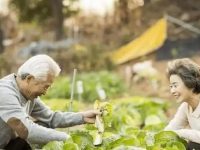 50岁后如何活得健康长寿?哈佛研究揭晓长寿关键