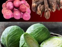 大自然的健康之盾——简单、自然、改变生活! 🌱✨