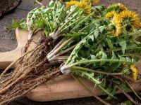 这篇文章简直是大型制药公司的噩梦