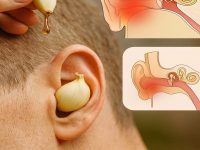 大蒜——自然界最强大的药用植物之一