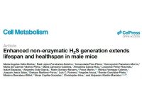 大蒜延寿能力超越二甲双胍🧄🧄