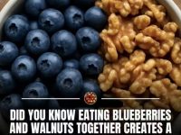 蓝莓和核桃是自然界最有效的抗衰老组合
